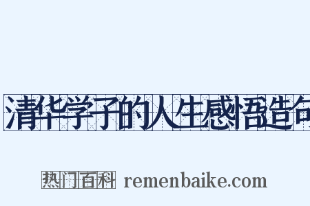 清华学子的人生感悟造句是什么意思的图片